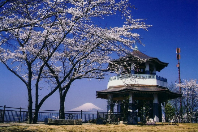 弘法山公園【秦野市】